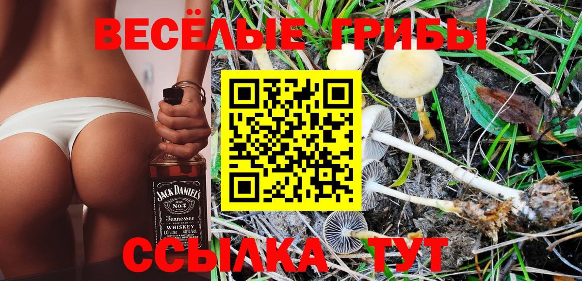 Павлово  Псилоцибиновые грибы GOLDEN TEACHER  где купить наркоту  Вход с VPN 
