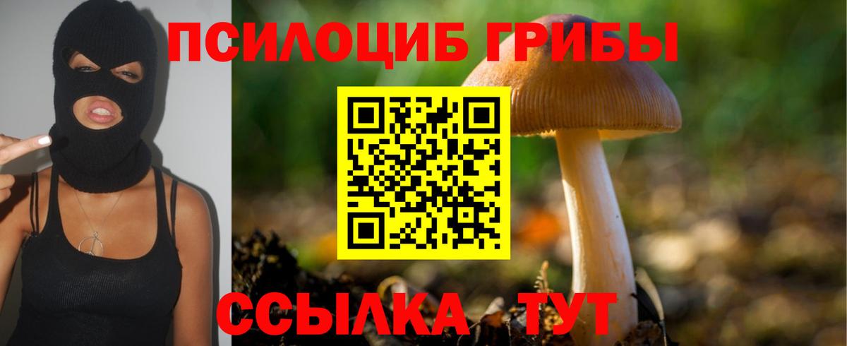 Псилоцибиновые грибы Cubensis Павлово